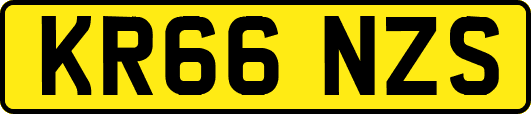 KR66NZS