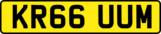 KR66UUM