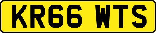 KR66WTS