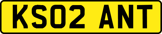 KS02ANT