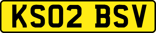 KS02BSV