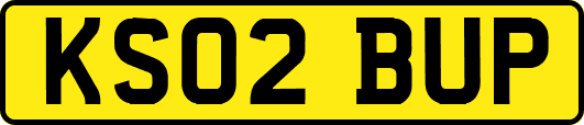 KS02BUP