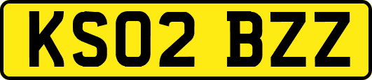 KS02BZZ