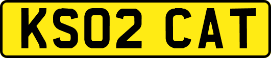 KS02CAT