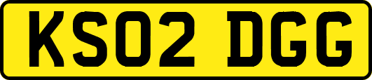 KS02DGG
