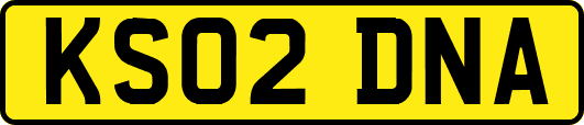 KS02DNA
