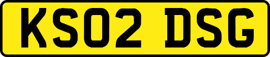 KS02DSG