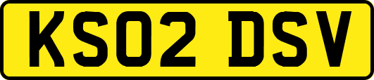 KS02DSV