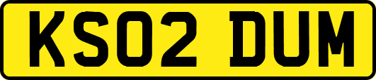 KS02DUM