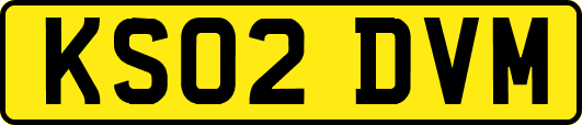 KS02DVM