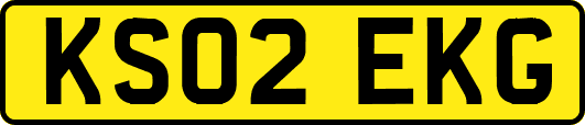 KS02EKG