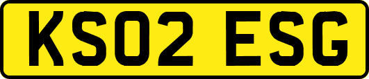 KS02ESG