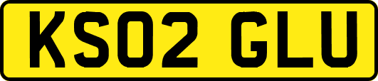 KS02GLU