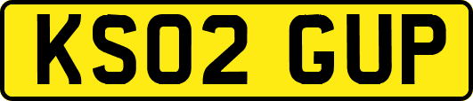 KS02GUP