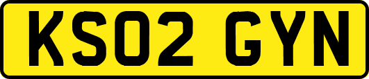 KS02GYN