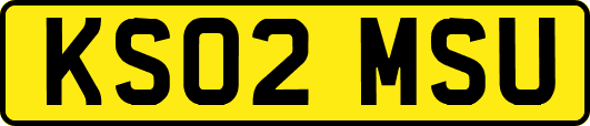 KS02MSU