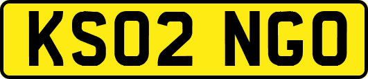KS02NGO