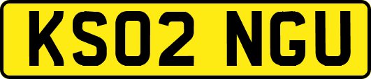 KS02NGU