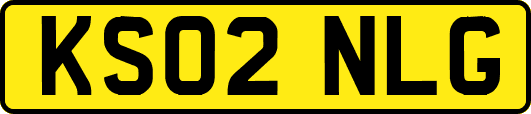 KS02NLG