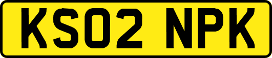 KS02NPK