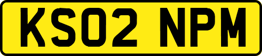 KS02NPM