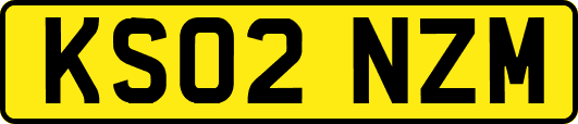 KS02NZM