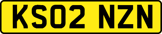 KS02NZN
