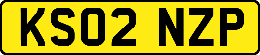 KS02NZP