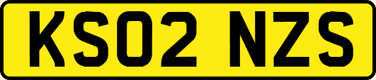 KS02NZS
