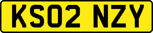 KS02NZY