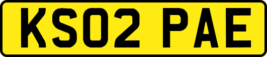 KS02PAE