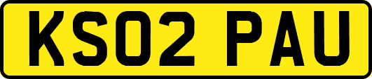 KS02PAU