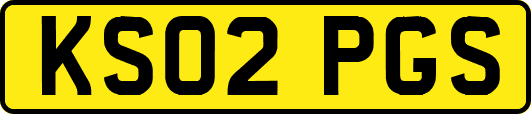 KS02PGS