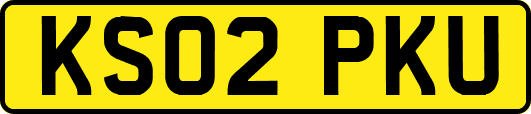 KS02PKU