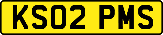 KS02PMS