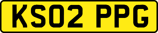 KS02PPG