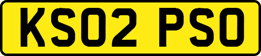 KS02PSO