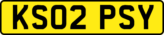 KS02PSY