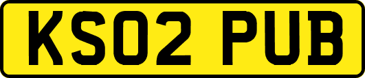 KS02PUB