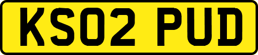 KS02PUD