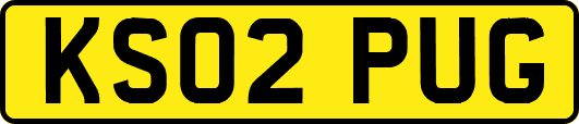 KS02PUG