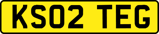KS02TEG