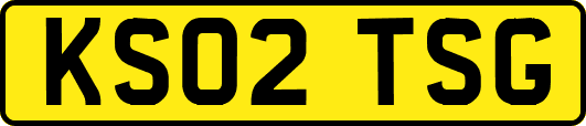 KS02TSG
