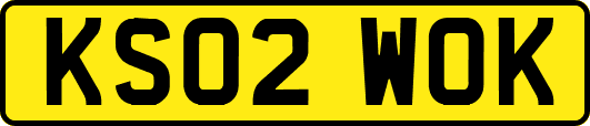 KS02WOK
