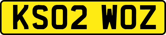 KS02WOZ