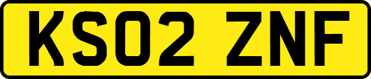 KS02ZNF