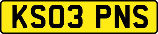 KS03PNS