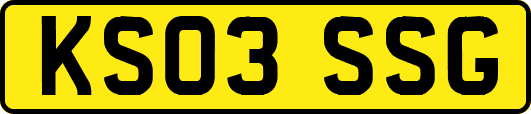 KS03SSG