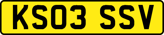 KS03SSV