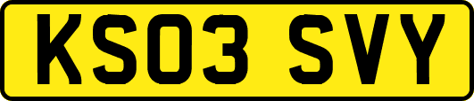 KS03SVY